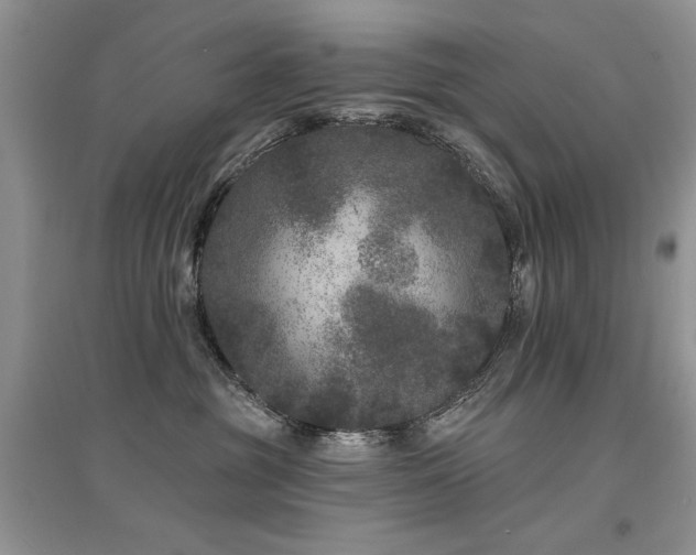 X0000094960381200711291446