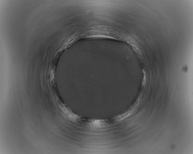 X0000094960382200711291446