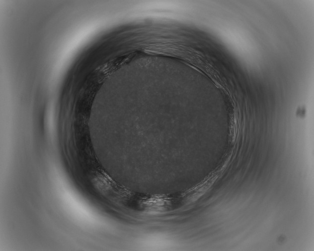 X0000094960383200711291446