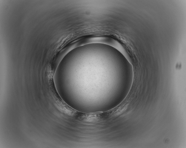 X0000094960384200711291446