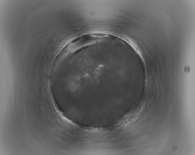 X0000094960385200711291445