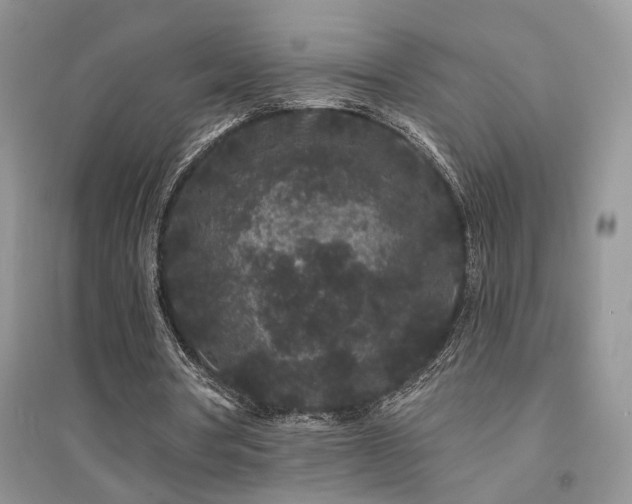 X0000094960386200711291445