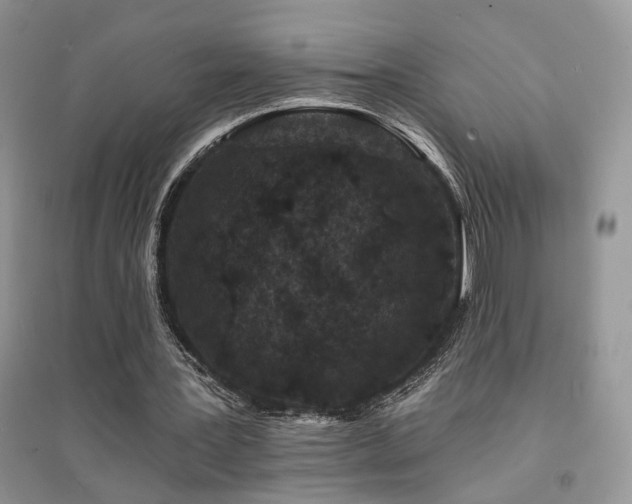 X0000094960387200711291445