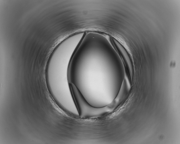 X0000094960389200711291445