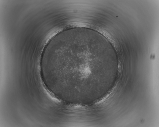 X0000094960390200711291445