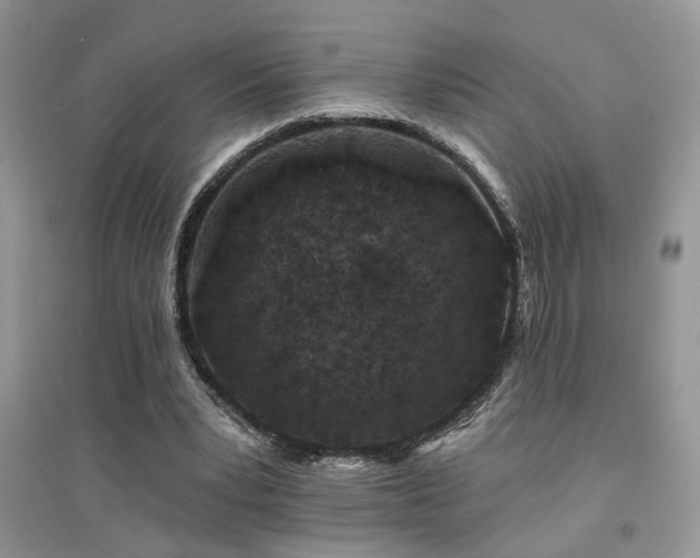 X0000094960391200711291445