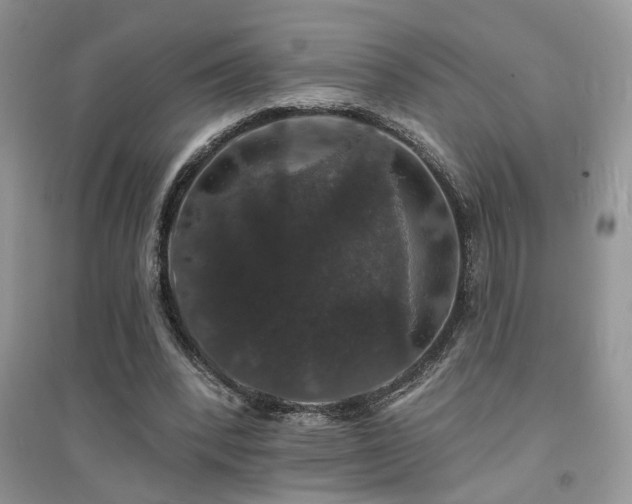 X0000094960392200711291445