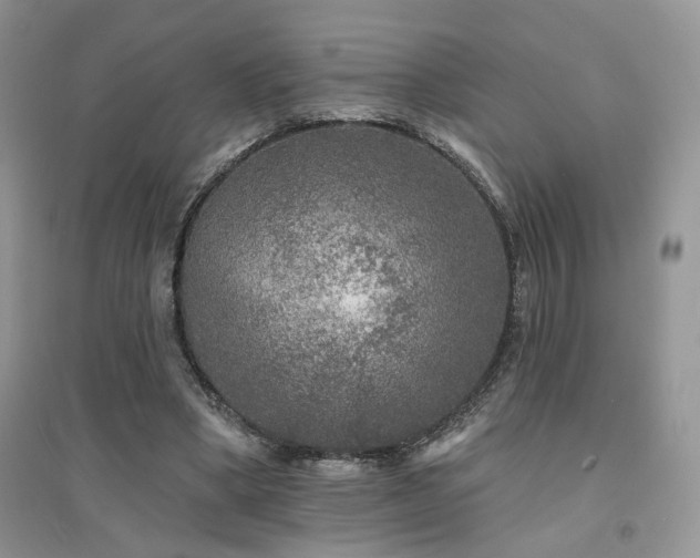 X0000094960394200711291445