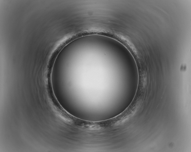 X0000094960395200711291445