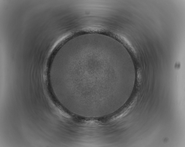 X0000094960396200711291445