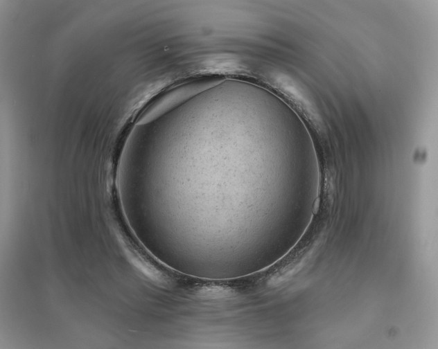 X0000094960397200711291445