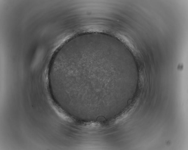 X0000094960398200711291445