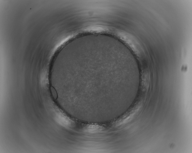 X0000094960399200711291445