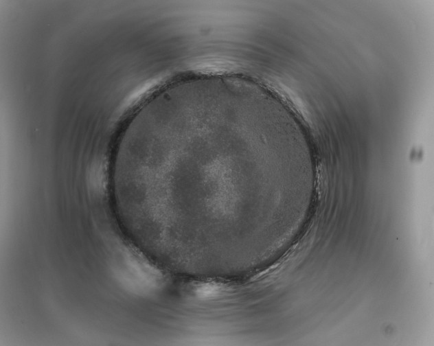 X0000094960400200711291445