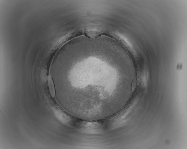 X0000094960401200711291445