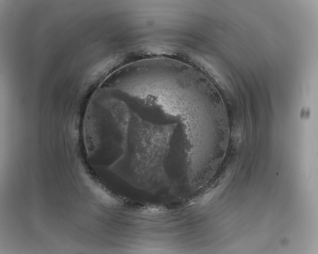 X0000094960402200711291445