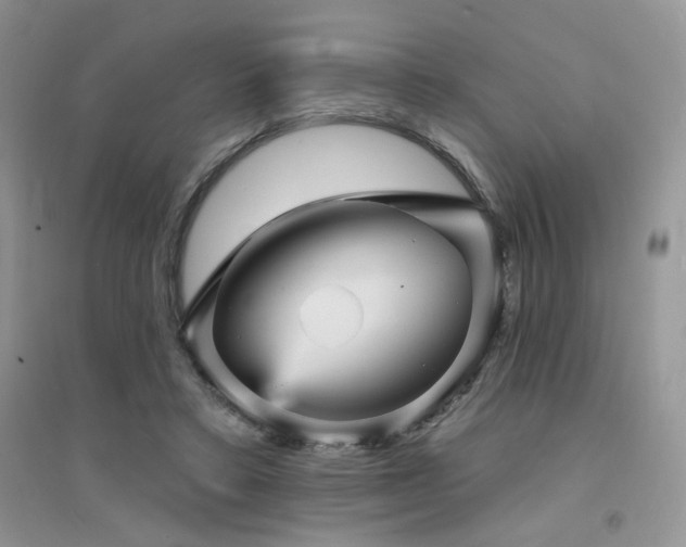 X0000094960403200711291445