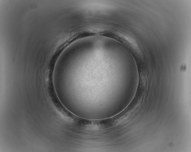 X0000094960404200711291445