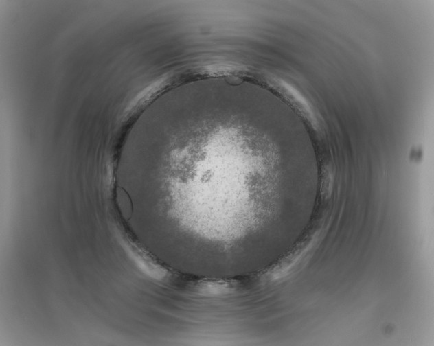 X0000094960405200711291445