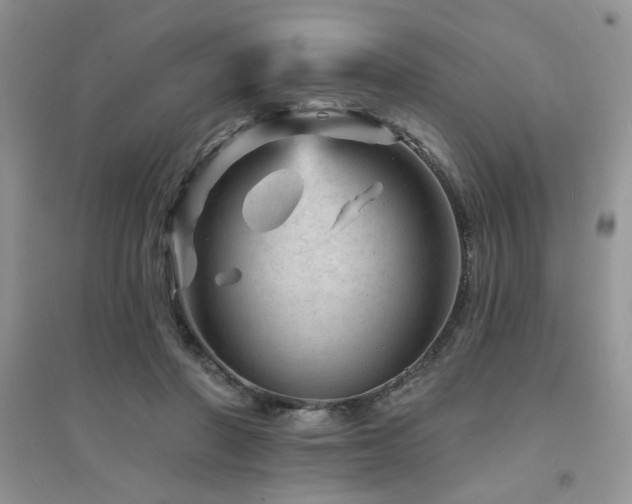 X0000094960406200711291445