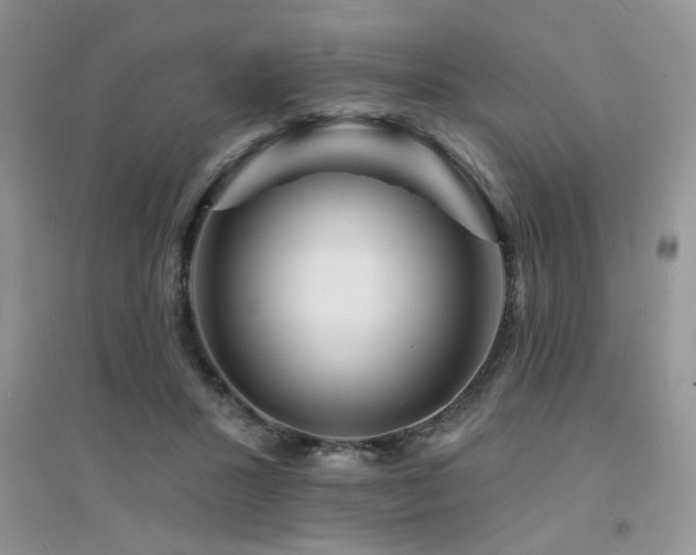 X0000094960407200711291445