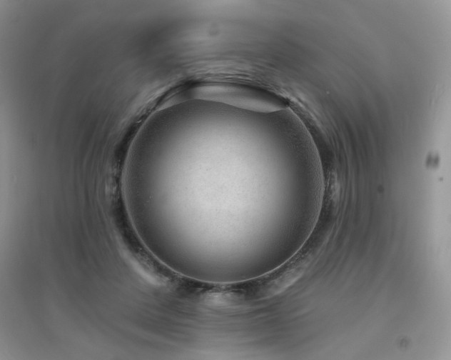 X0000094960408200711291445