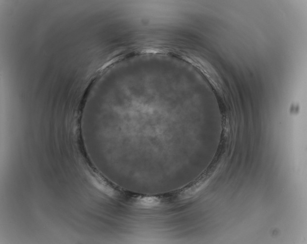 X0000094960409200711291445