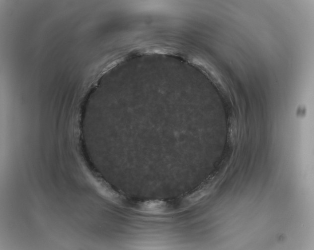 X0000094960410200711291445