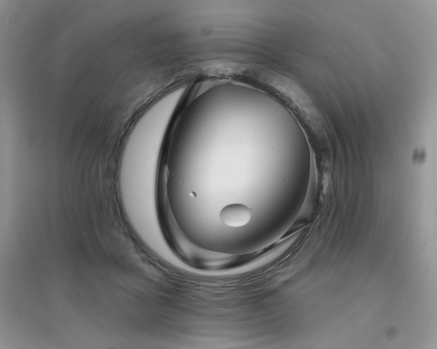 X0000094960411200711291445