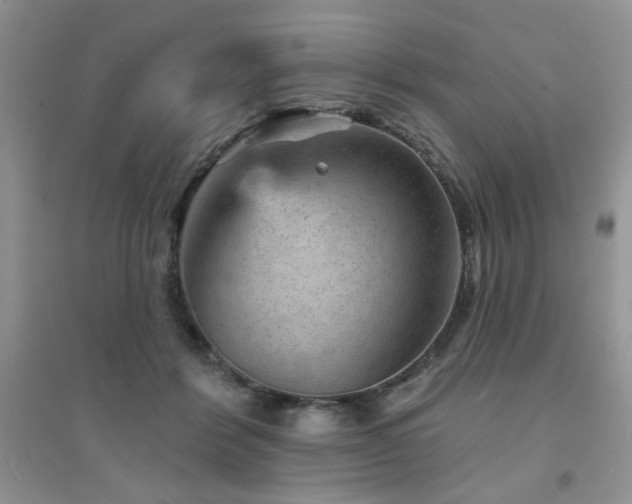 X0000094960412200711291445