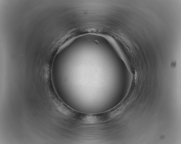 X0000094960413200711291445