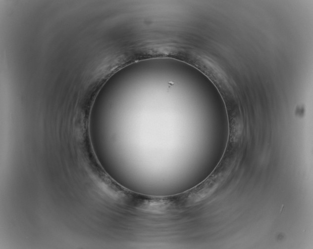 X0000094960414200711291445