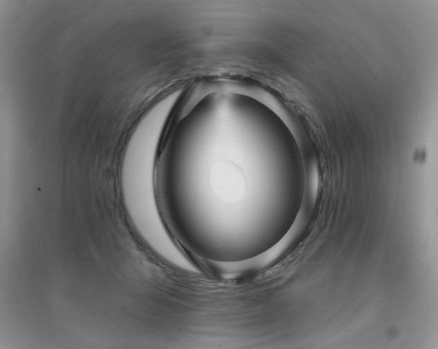 X0000094960415200711291445