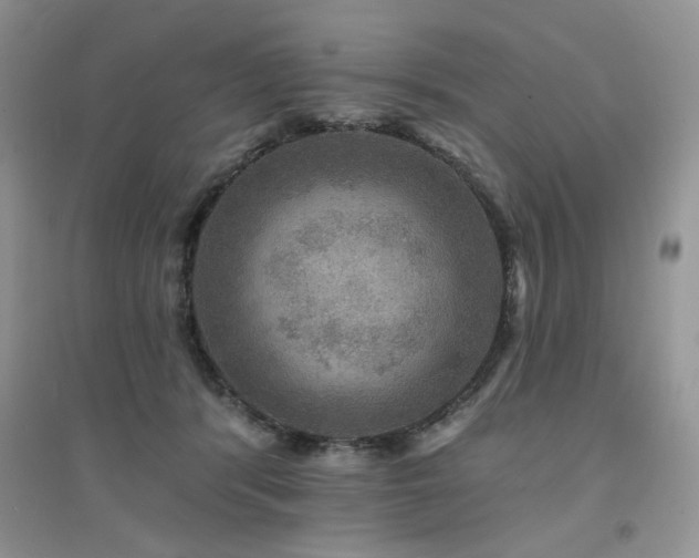 X0000094960416200711291445