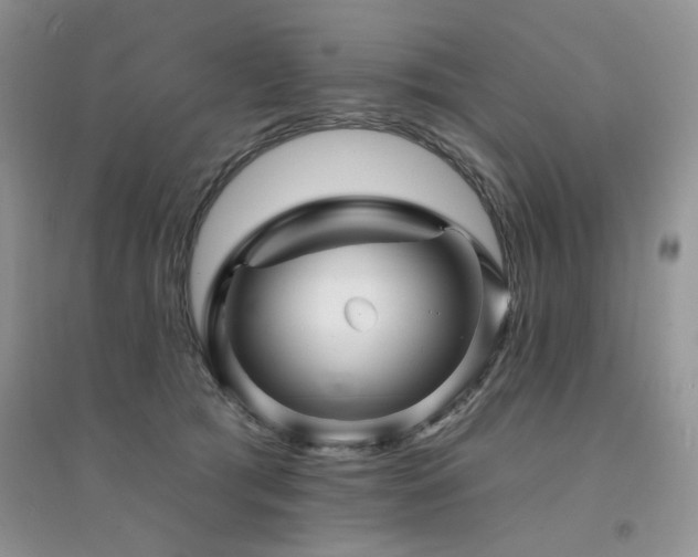 X0000094960417200711291445