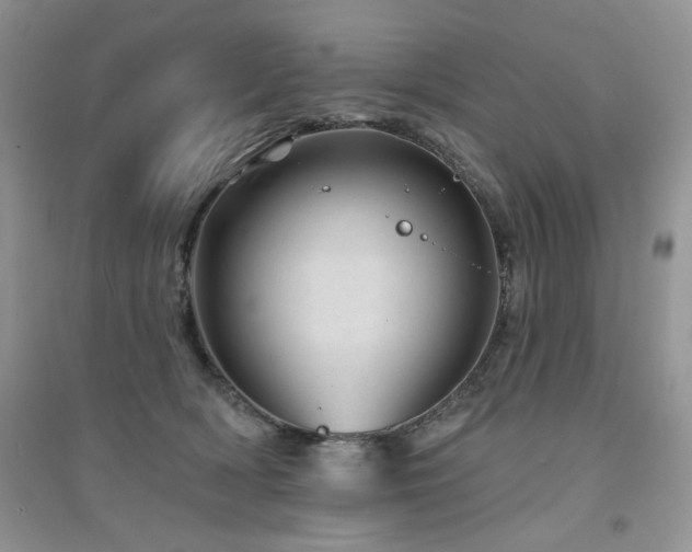 X0000094960418200711291445