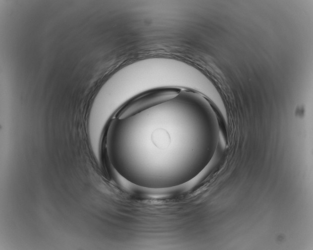 X0000094960419200711291445