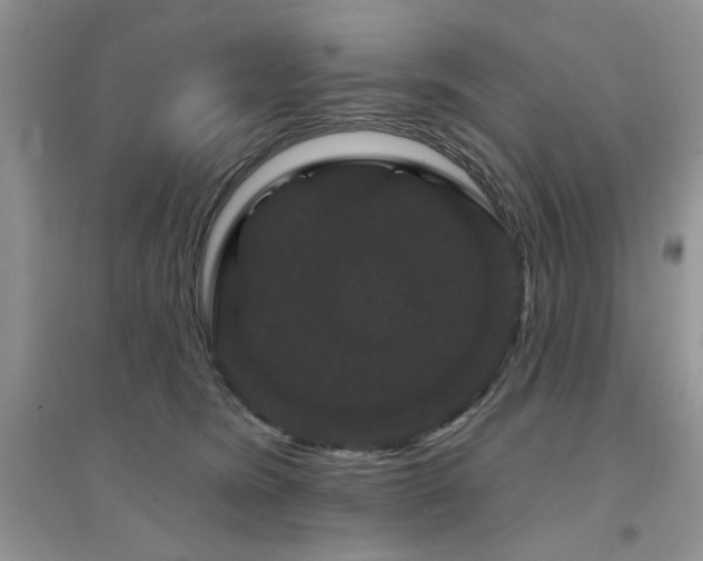 X0000094960420200711291445