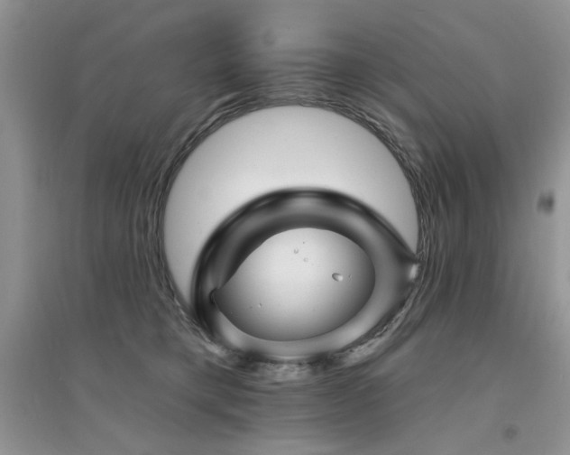 X0000094960421200711291445