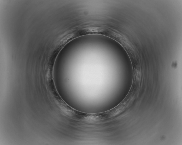 X0000094960422200711291445