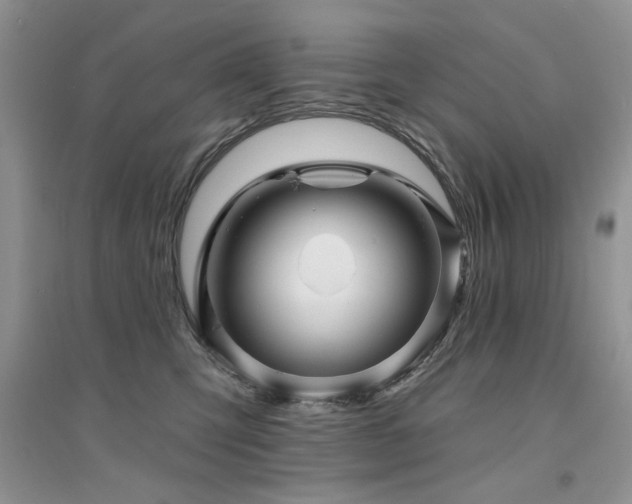 X0000094960423200711291445