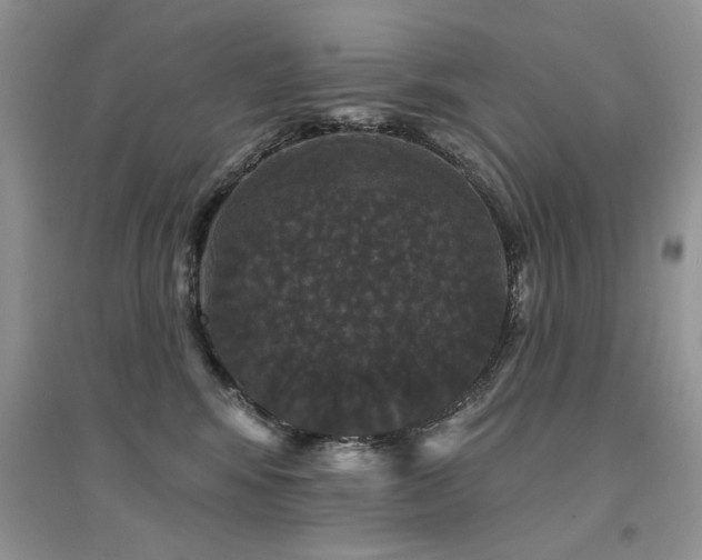 X0000094960424200711291445