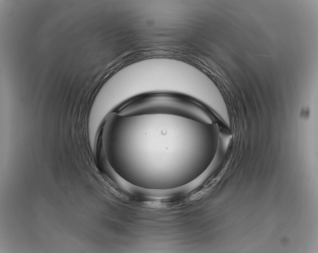 X0000094960425200711291445