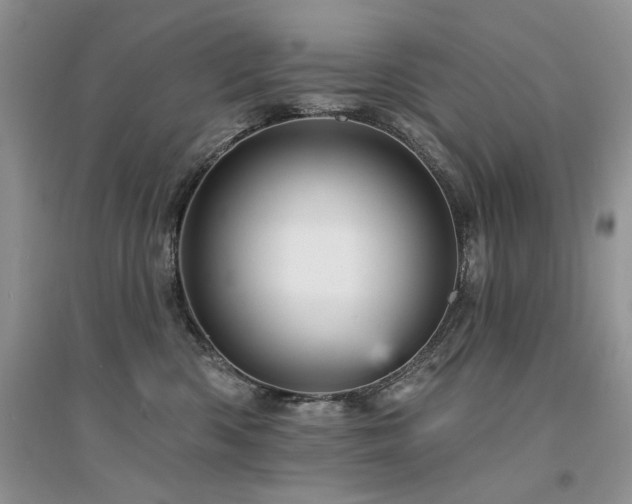 X0000094960426200711291445