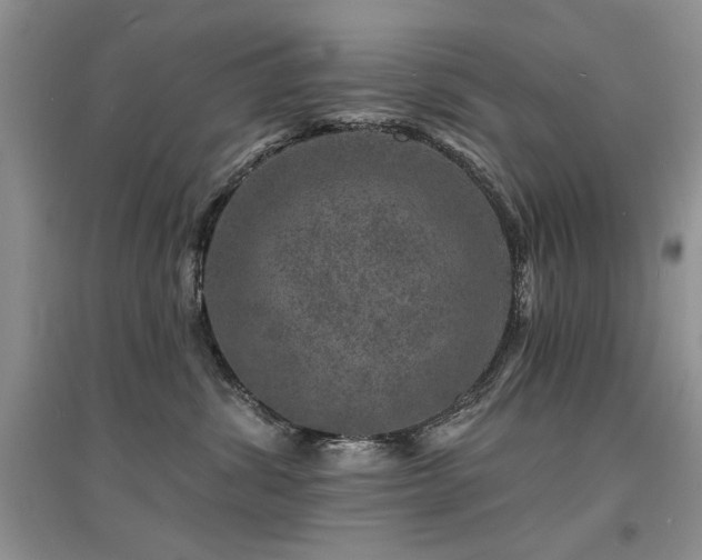 X0000094960428200711291445