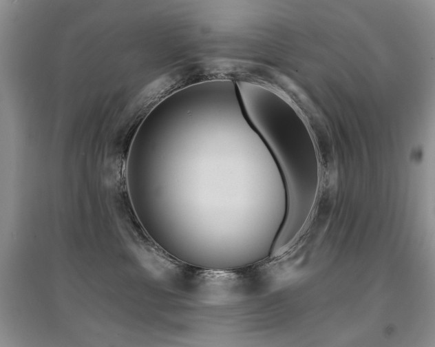 X0000094960429200711291445