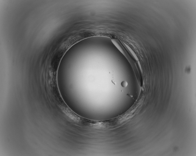 X0000094960430200711291445