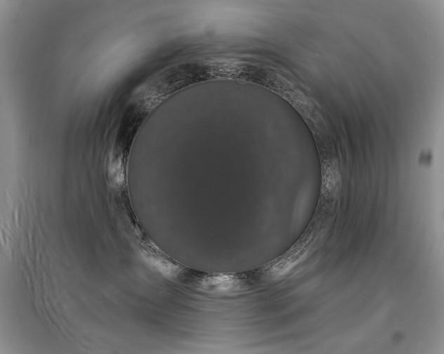 X0000094960431200711291445