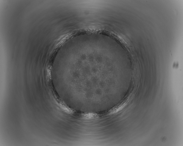 X0000094960432200711291445