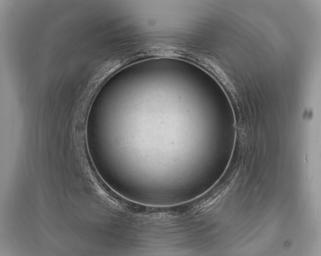 X0000094960433200711291444